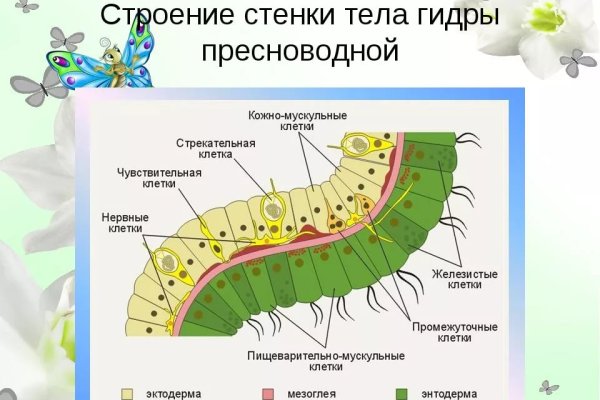 Не работает сайт kraken