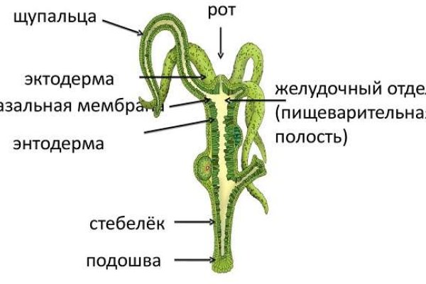 Кракен тор kr2web in